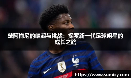 中欧体育官网